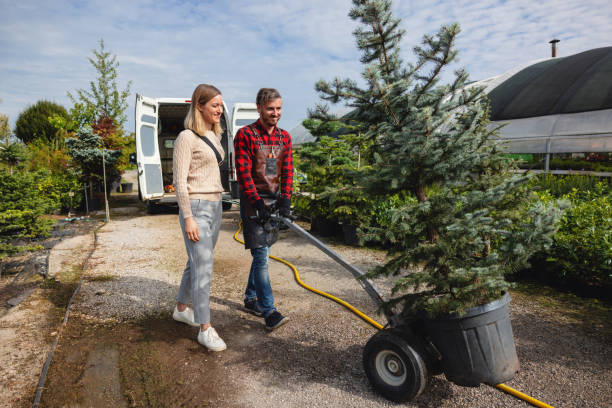 Tree Service Company in Macungie, PA